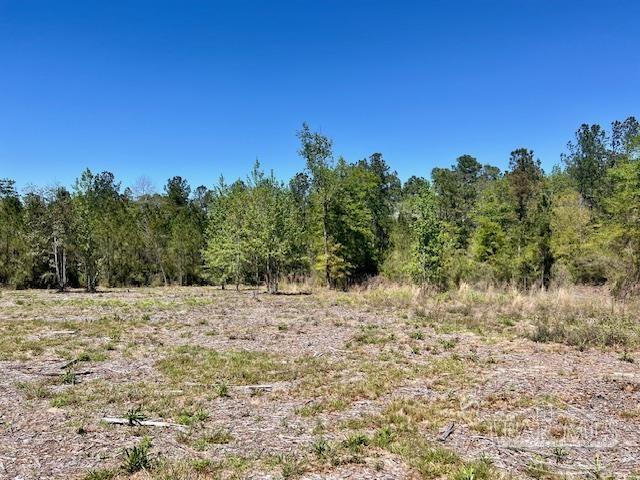 Lot 4 BS Buffalo Ridge Rd