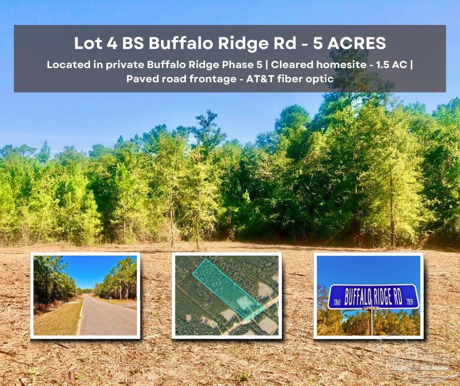 Lot 4 BS Buffalo Ridge Rd