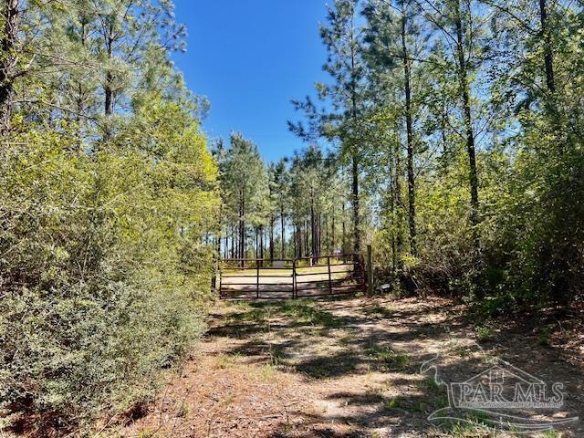 Lot 4 BS Buffalo Ridge Rd