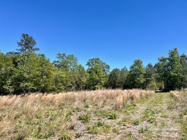 Lot 4 BS Buffalo Ridge Rd