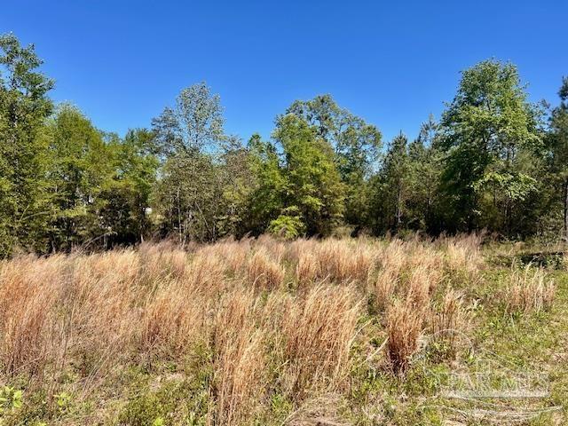 Lot 4 BS Buffalo Ridge Rd