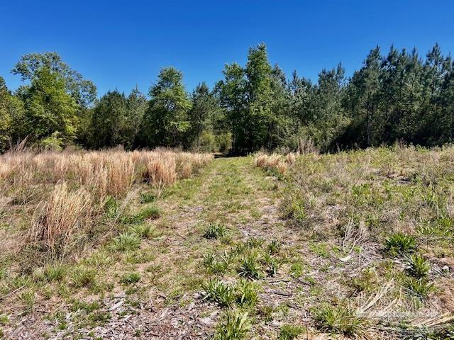 Lot 4 BS Buffalo Ridge Rd