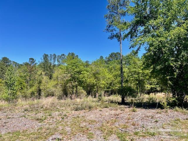 Lot 4 BS Buffalo Ridge Rd