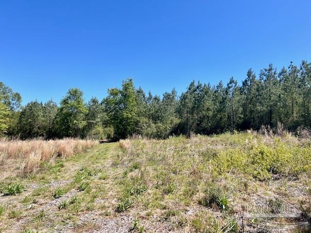 Lot 4 BS Buffalo Ridge Rd