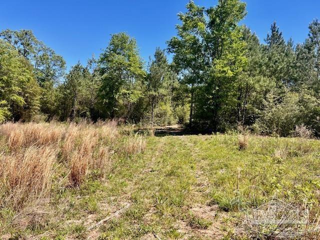 Lot 4 BS Buffalo Ridge Rd