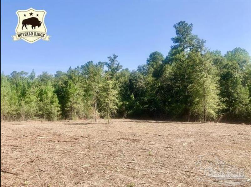 Lot 4 BS Buffalo Ridge Rd