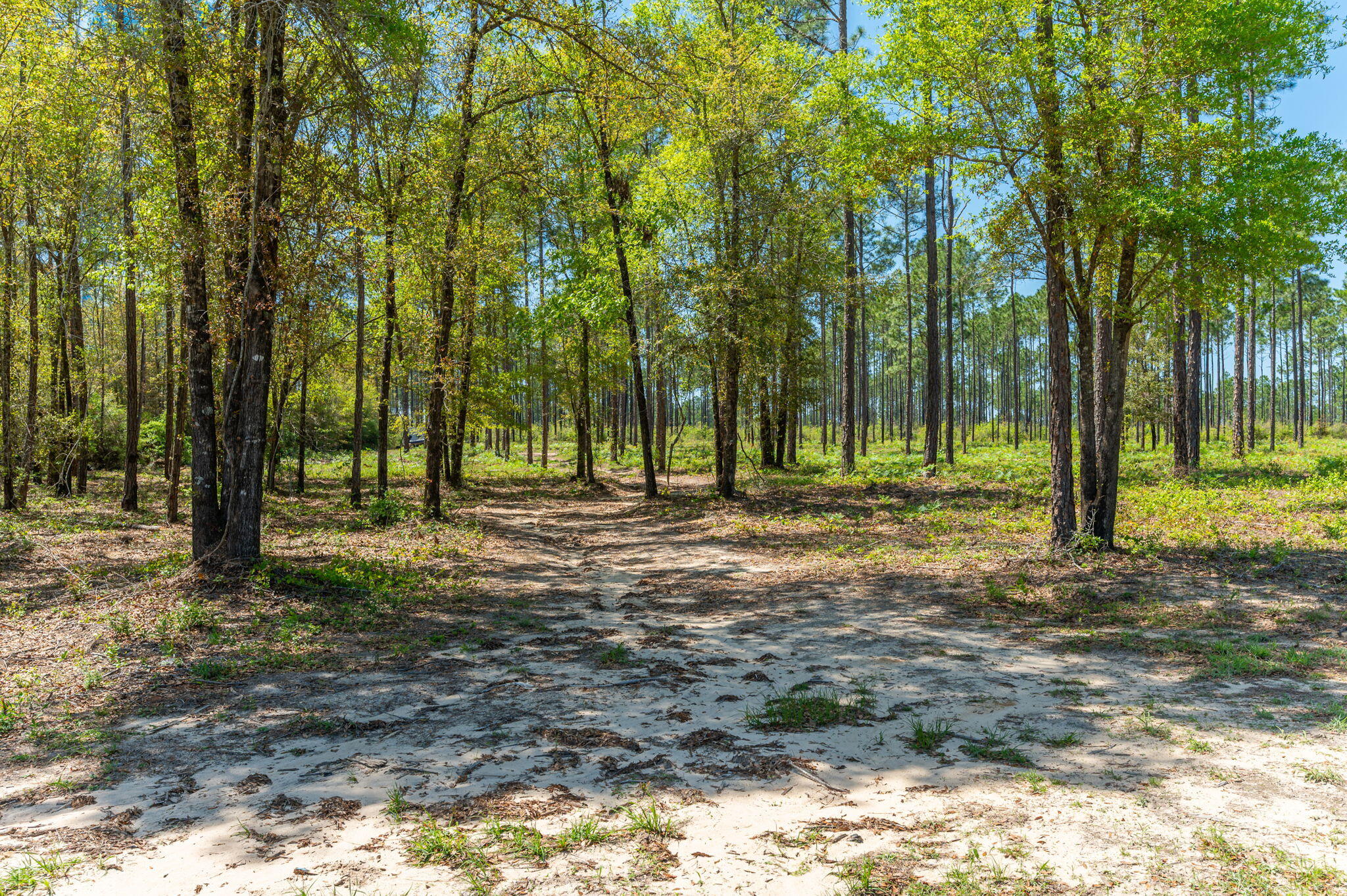 5732 Griffith Cemetery Road