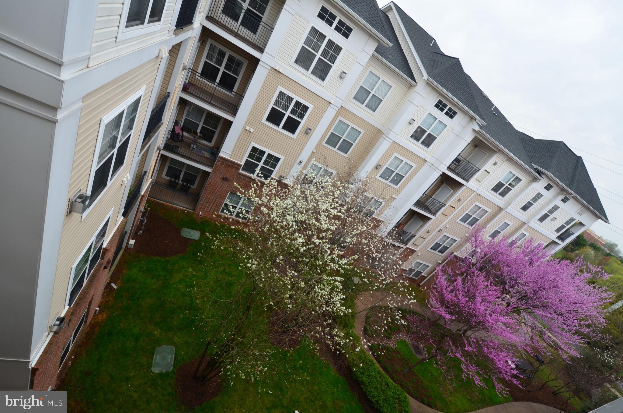 3810 Lightfoot St #404