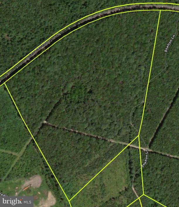 SHELTON LANE