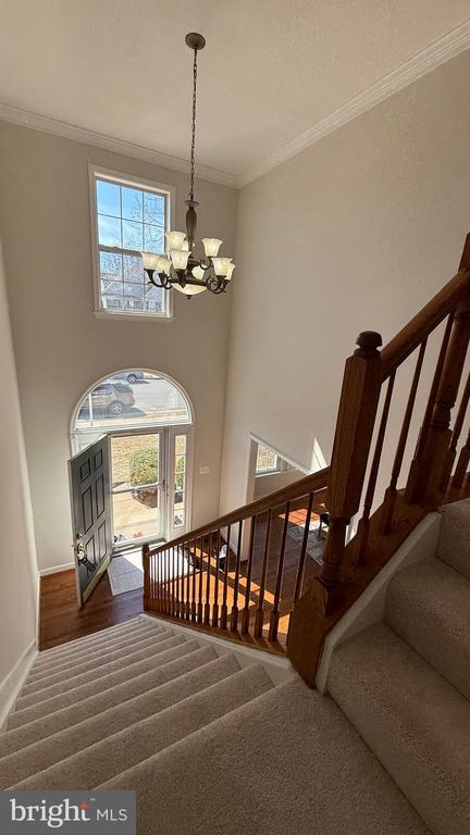 5976 Tapestry Dr