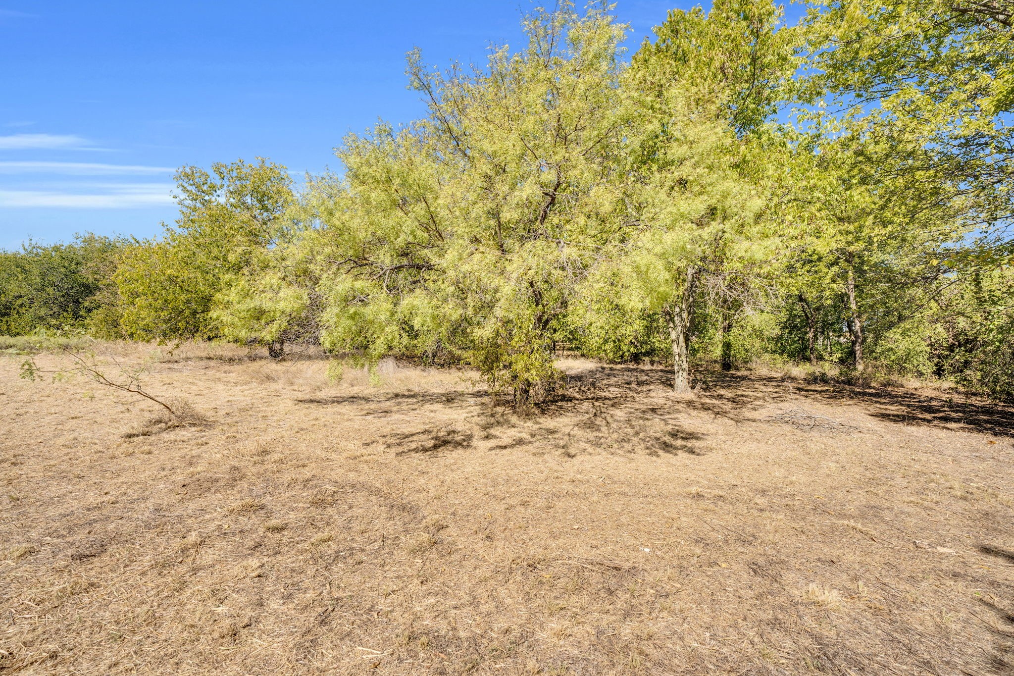 485 S Magnolia Street