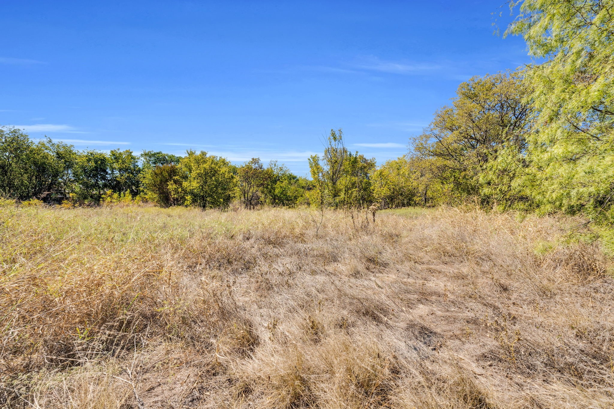 485 S Magnolia Street