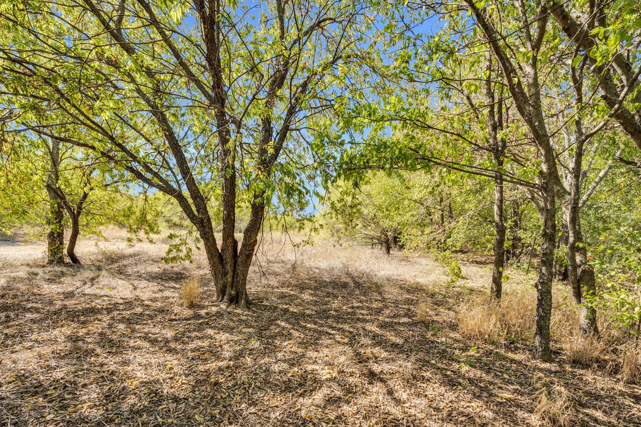 485 S Magnolia Street