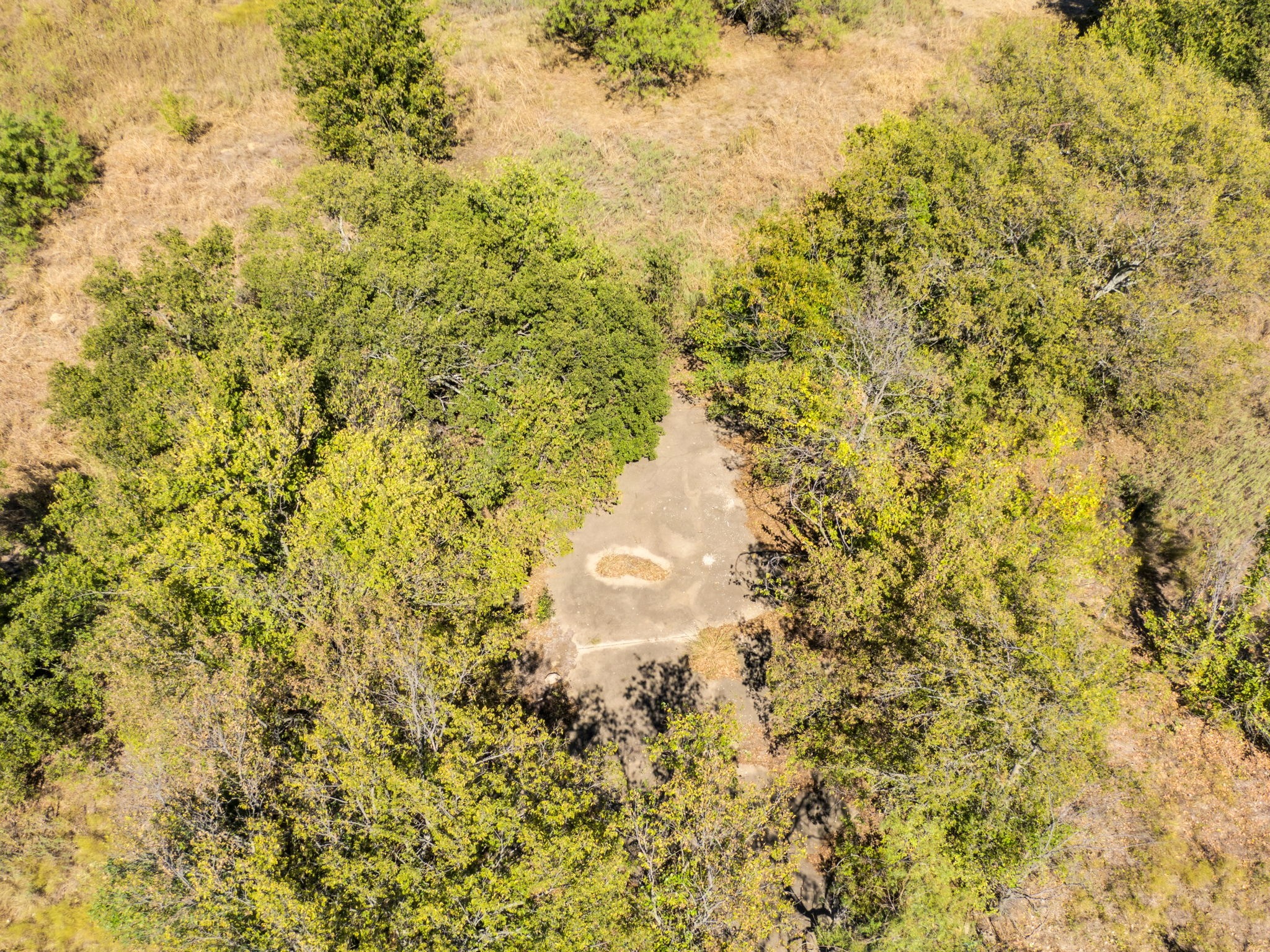 485 S Magnolia Street