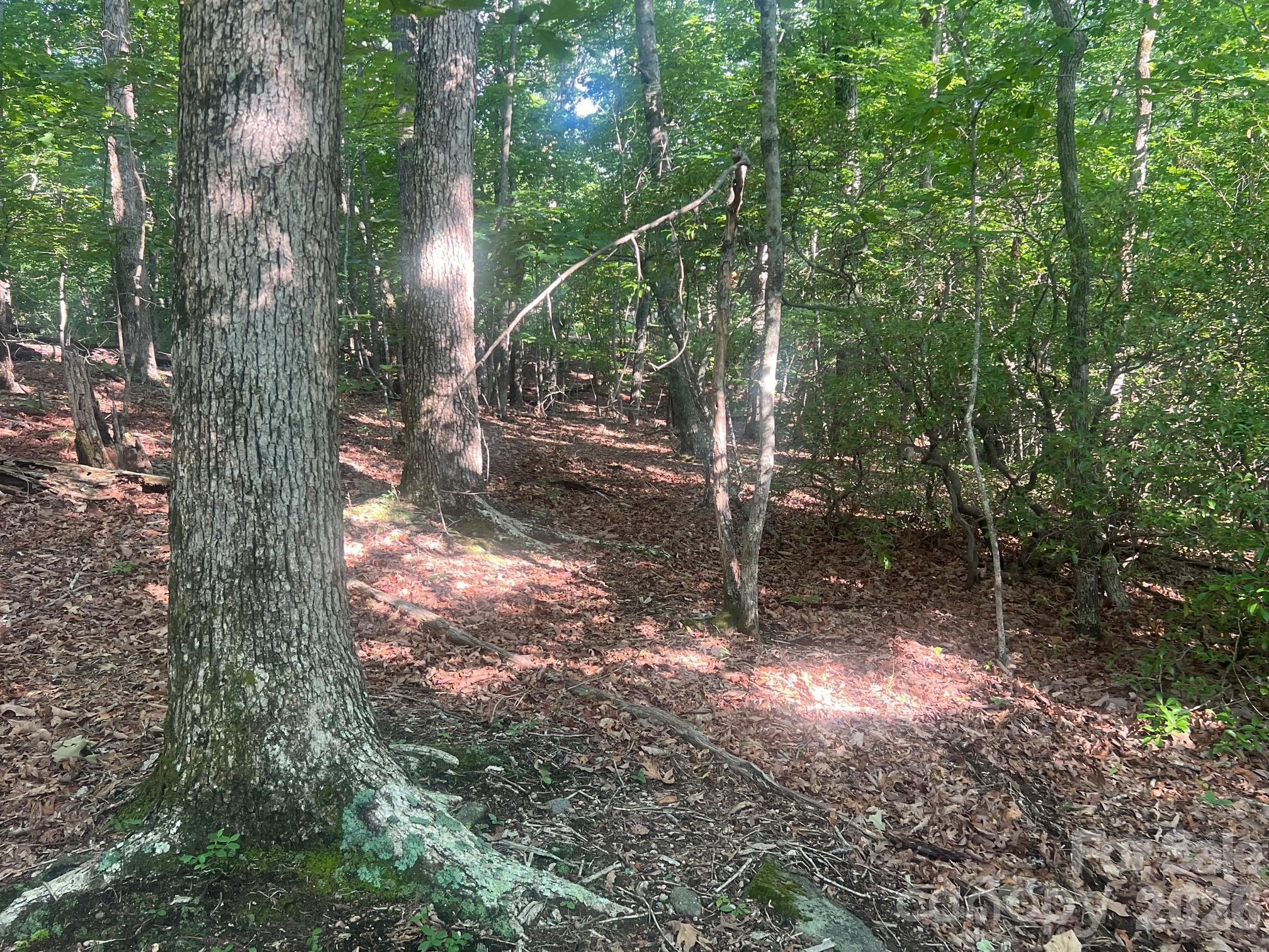 253 Falls Creek Drive