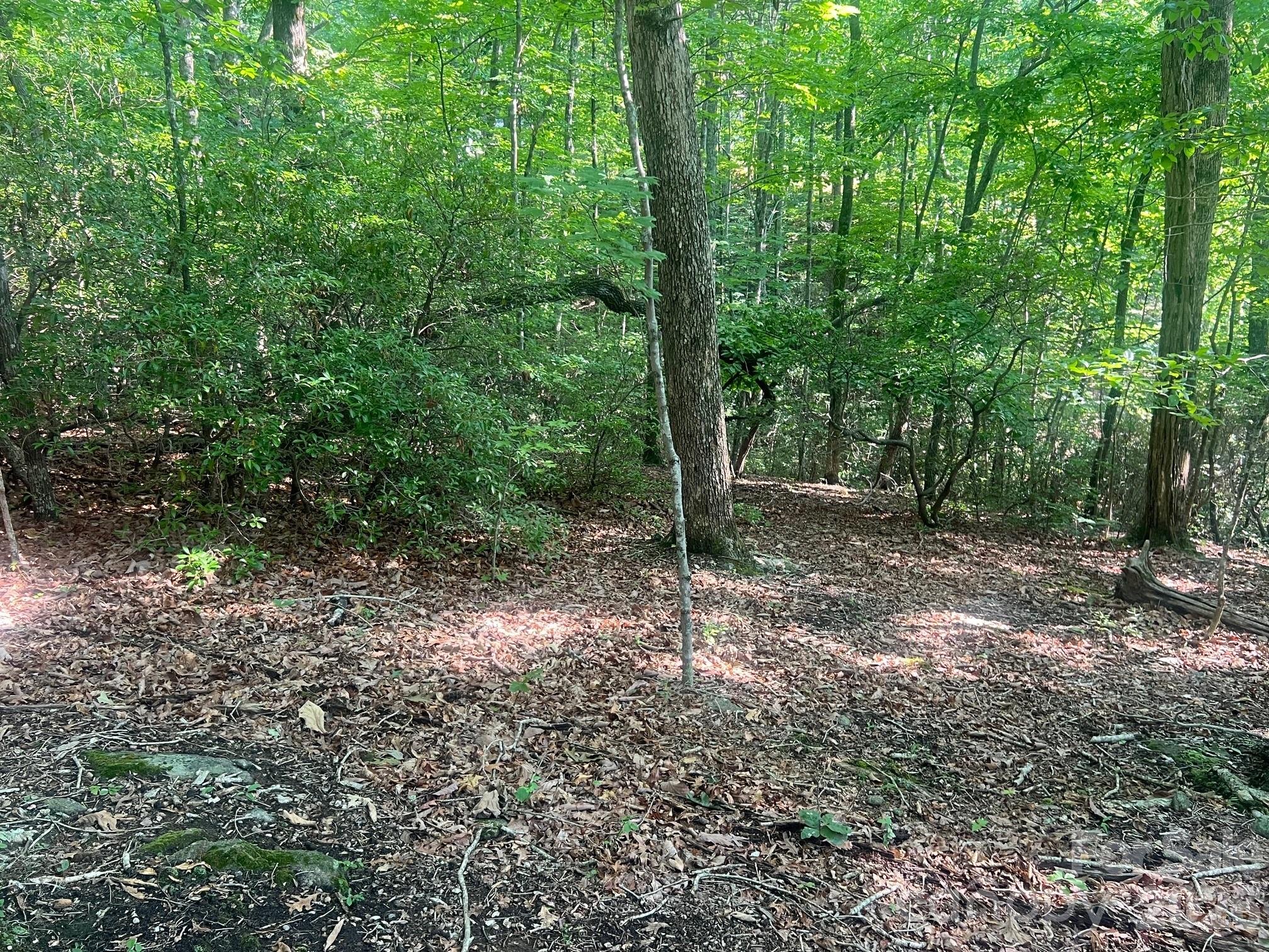 253 Falls Creek Drive