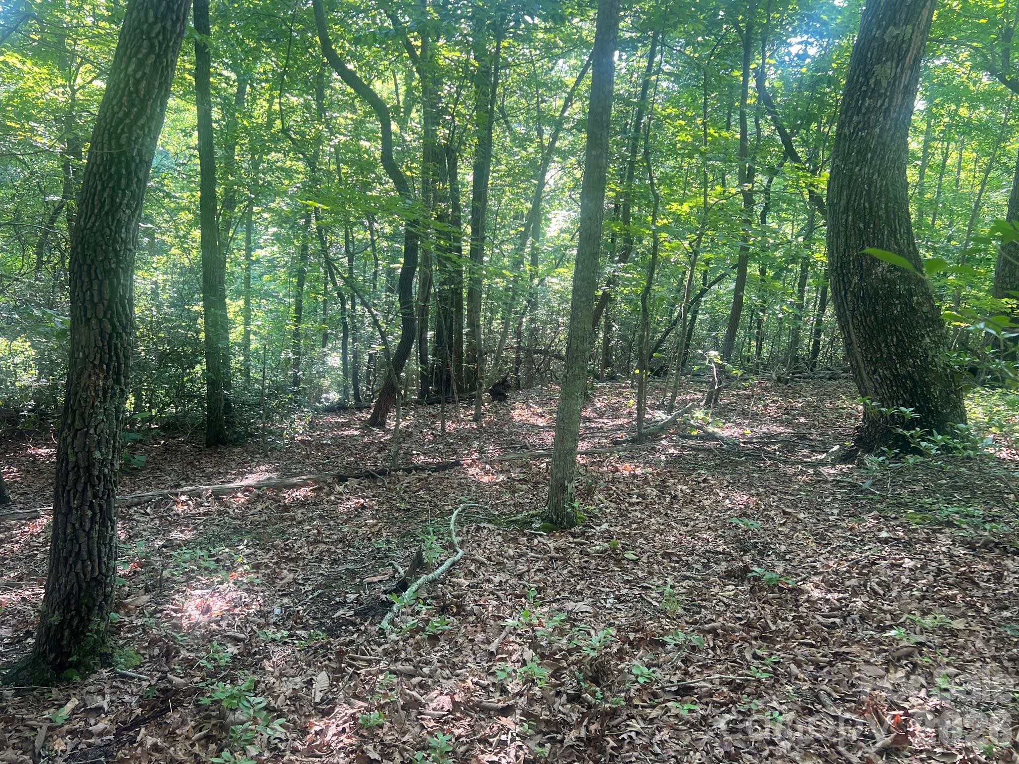 253 Falls Creek Drive