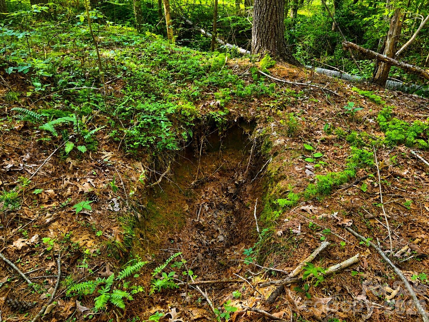49 Trillium Trail