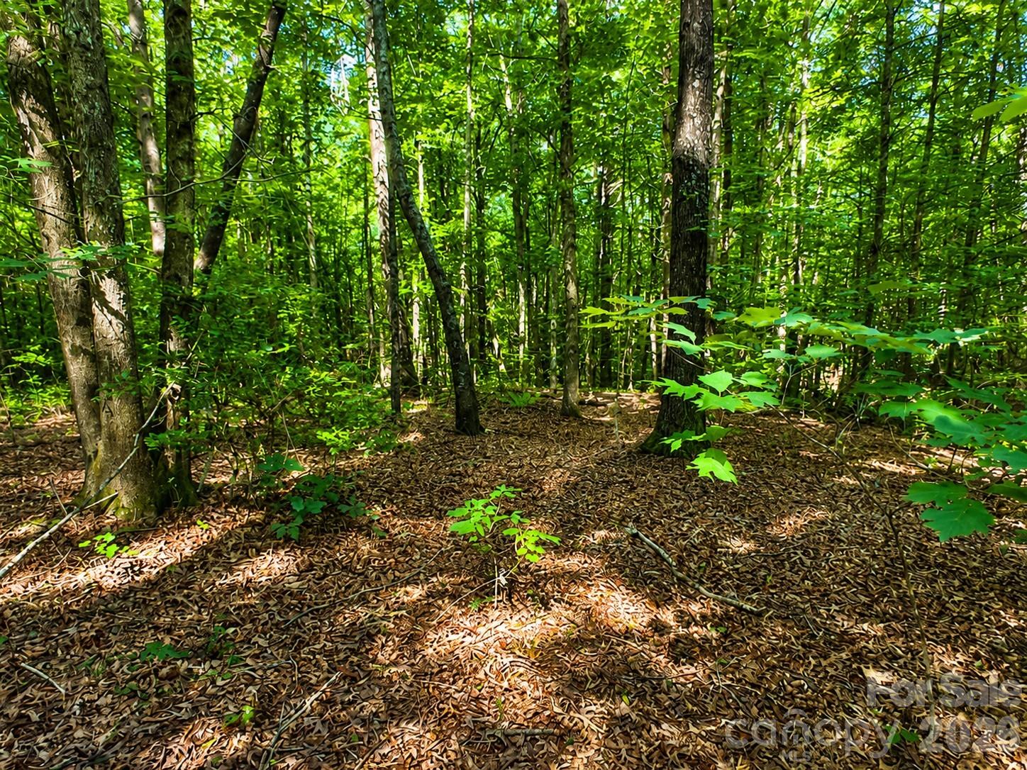 49 Trillium Trail