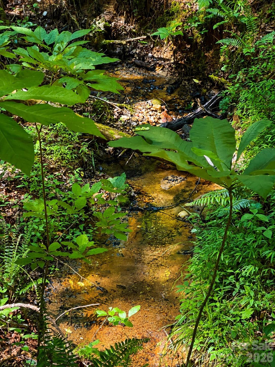 49 Trillium Trail