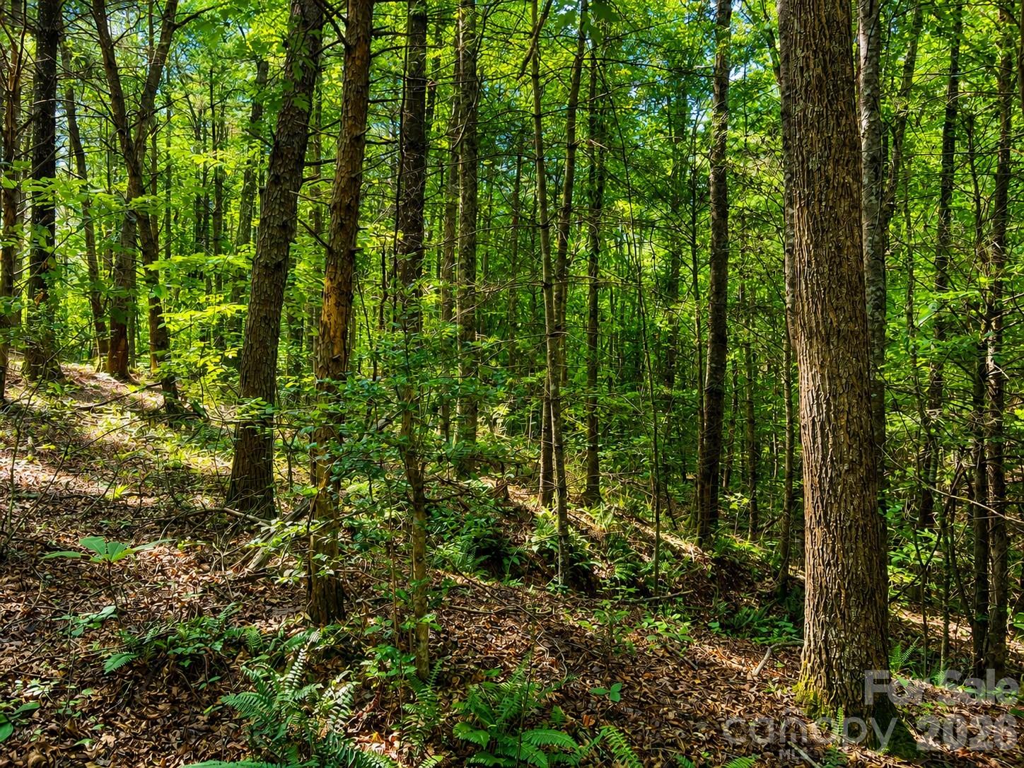 49 Trillium Trail
