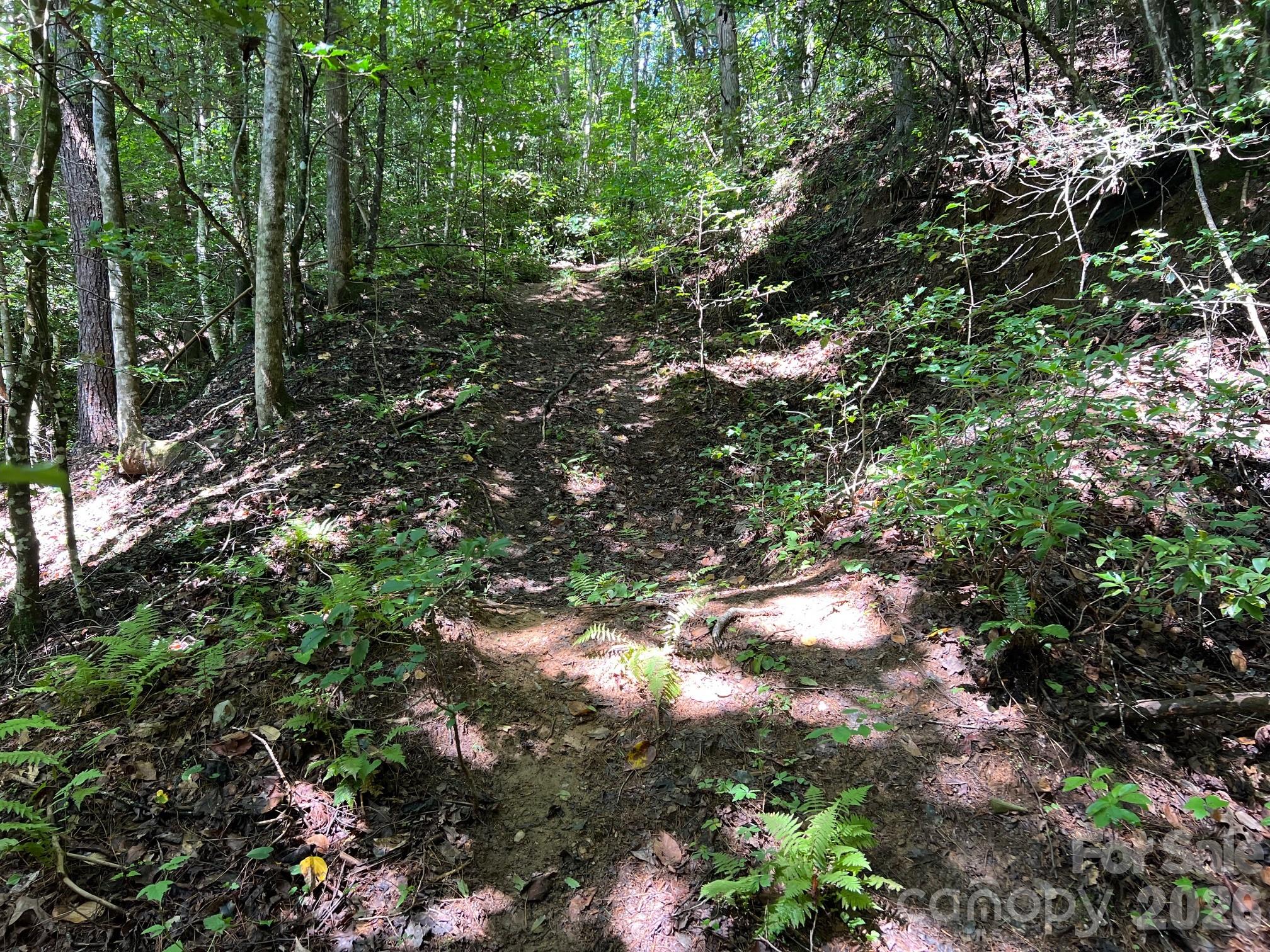 0 Old Johns River Road