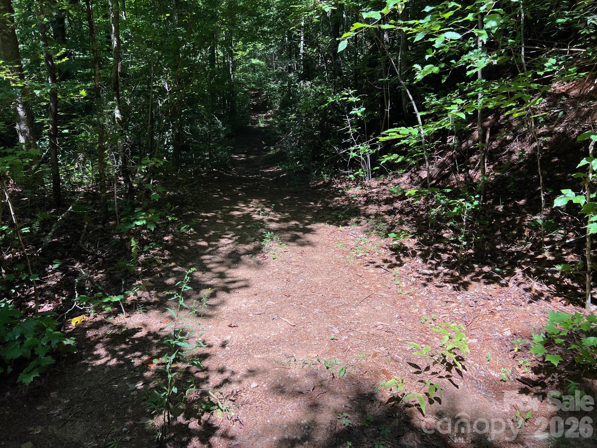 0 Old Johns River Road