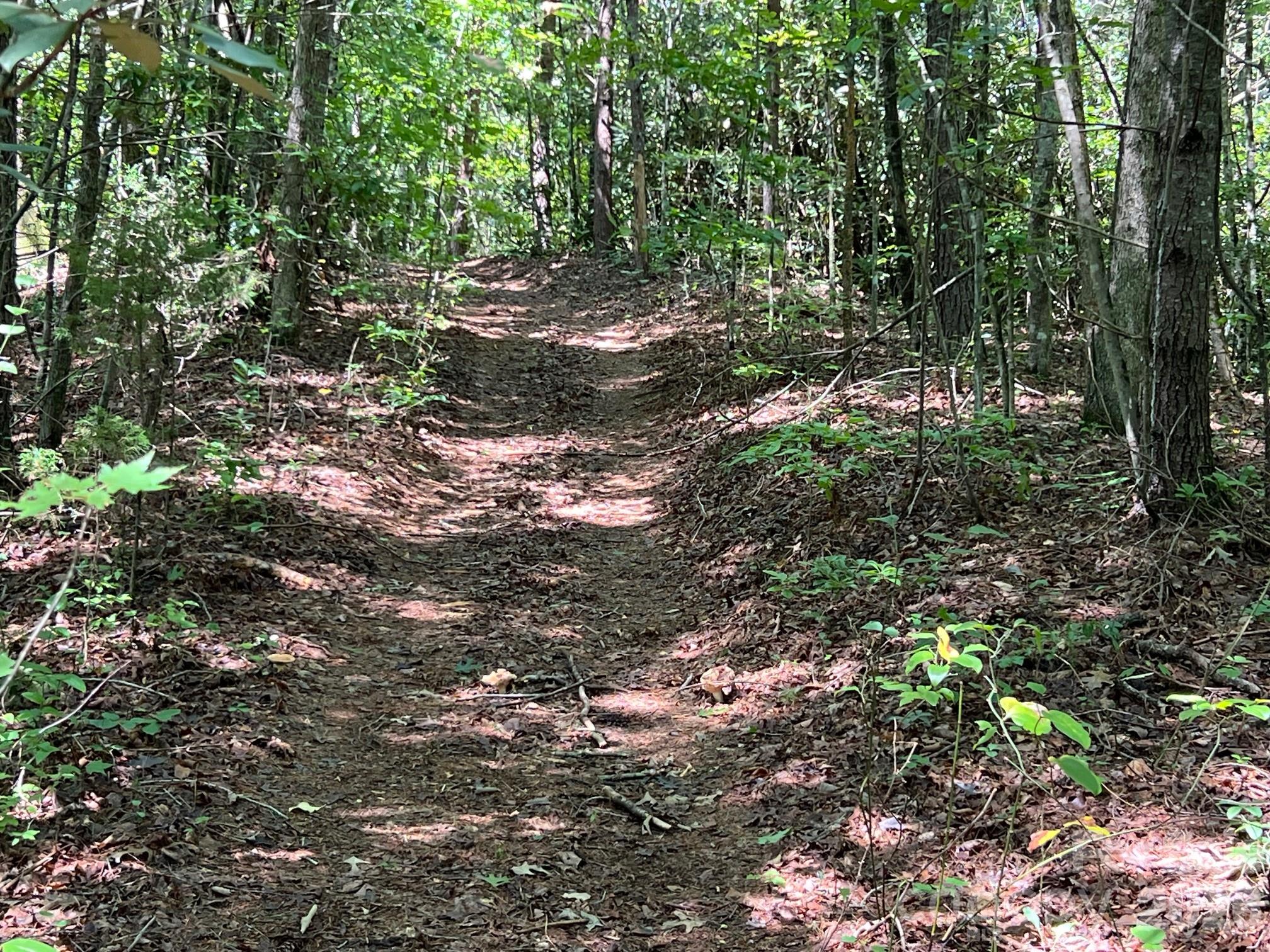 0 Old Johns River Road