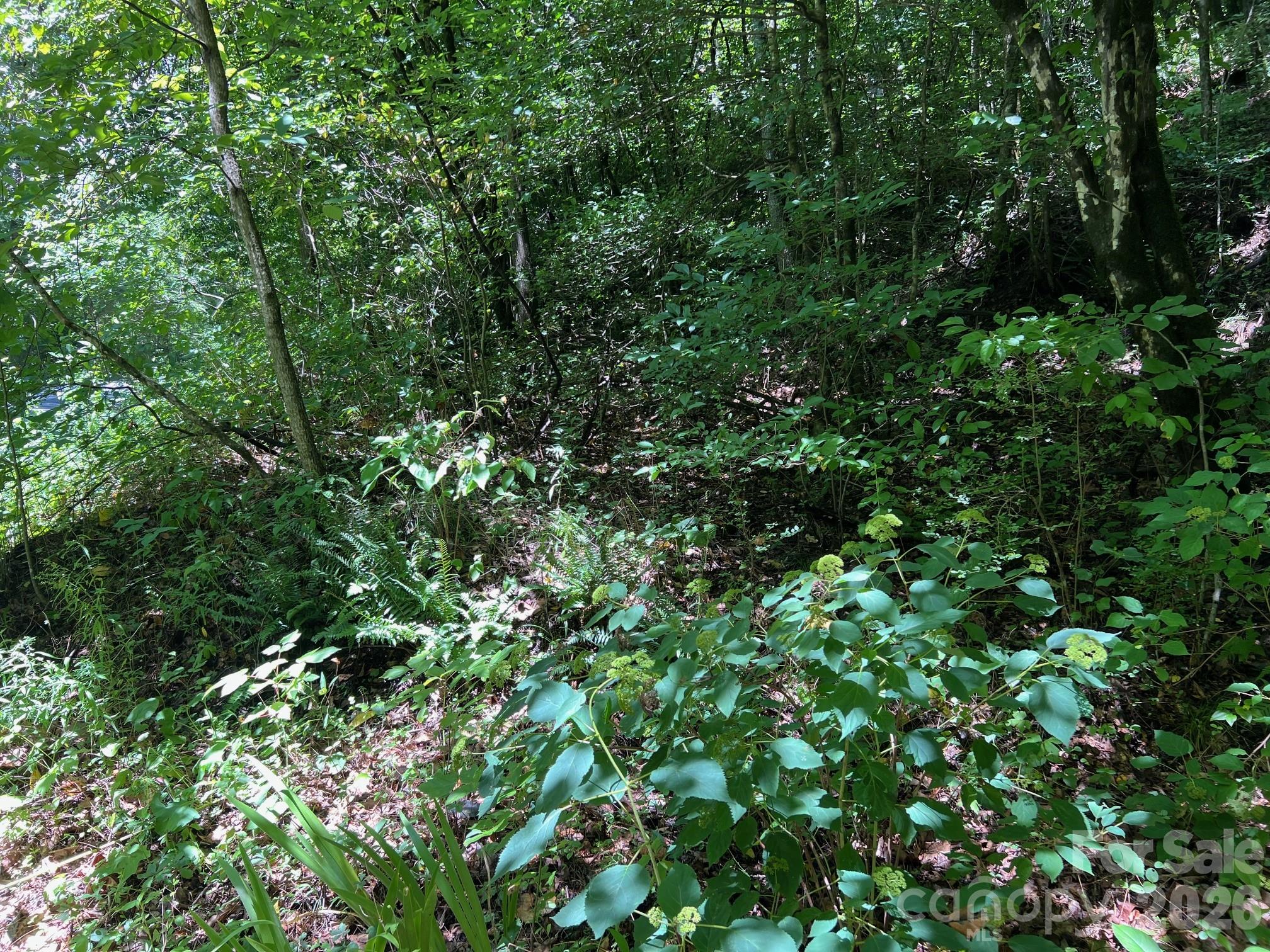 0 Old Johns River Road