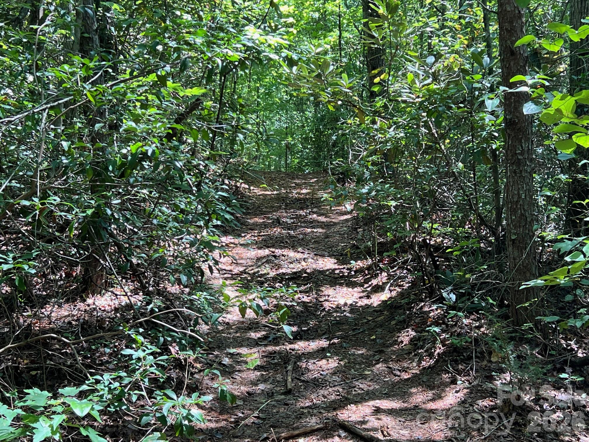 0 Old Johns River Road