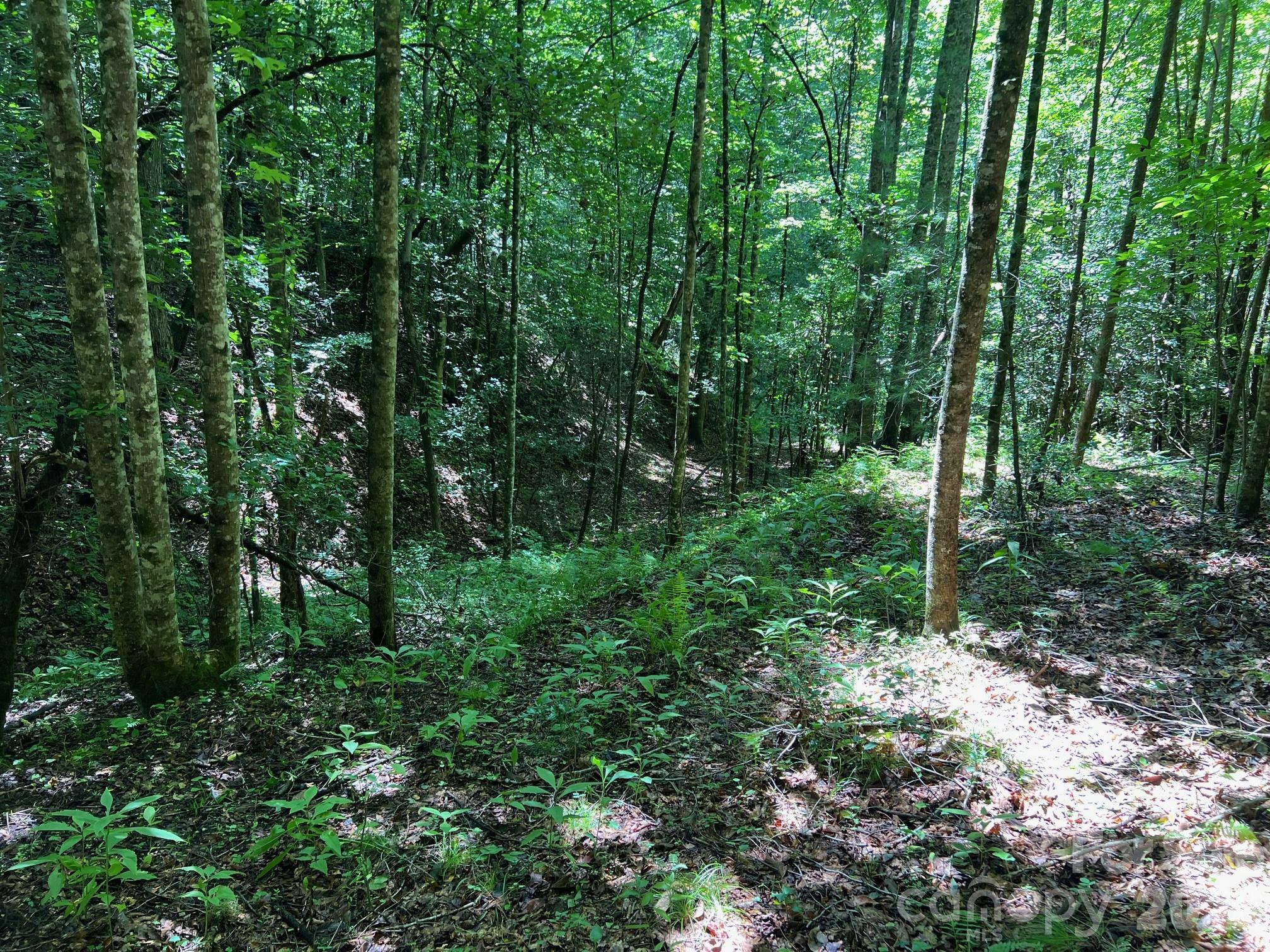 0 Old Johns River Road