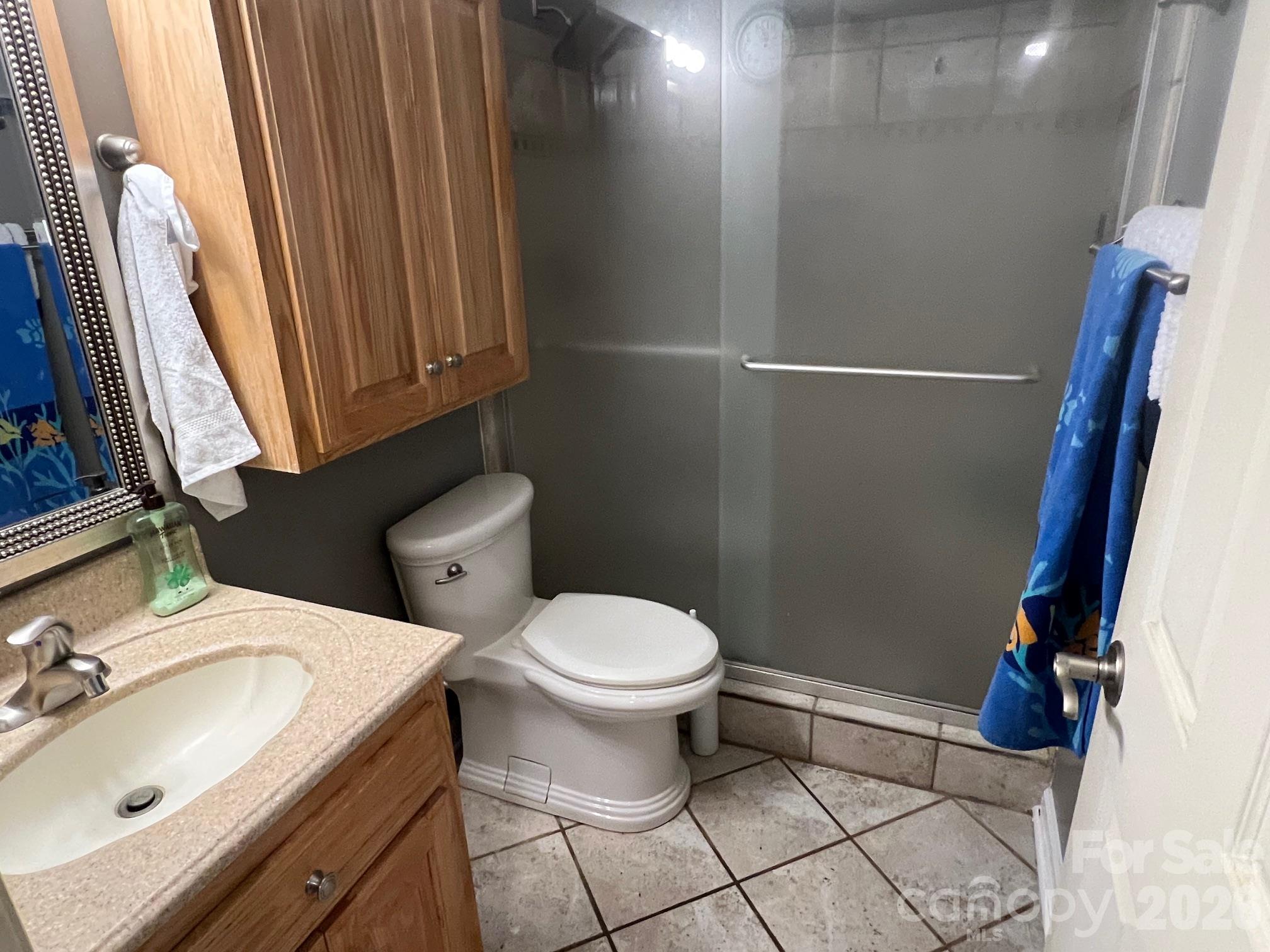 Bathroom with a beige vanity, wooden cabinets, and a gray glass shower enclosure.