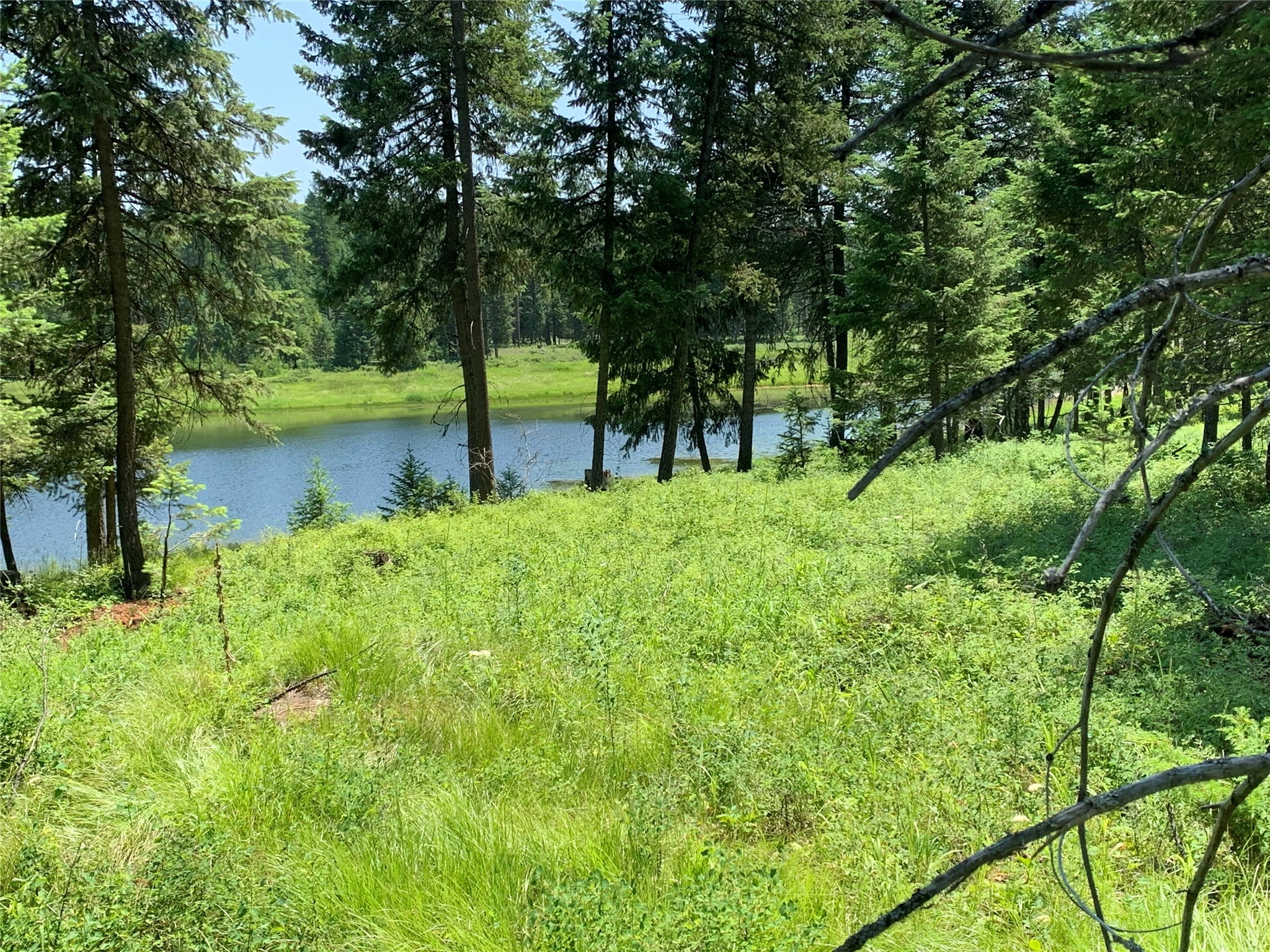 45 Meadow View Court