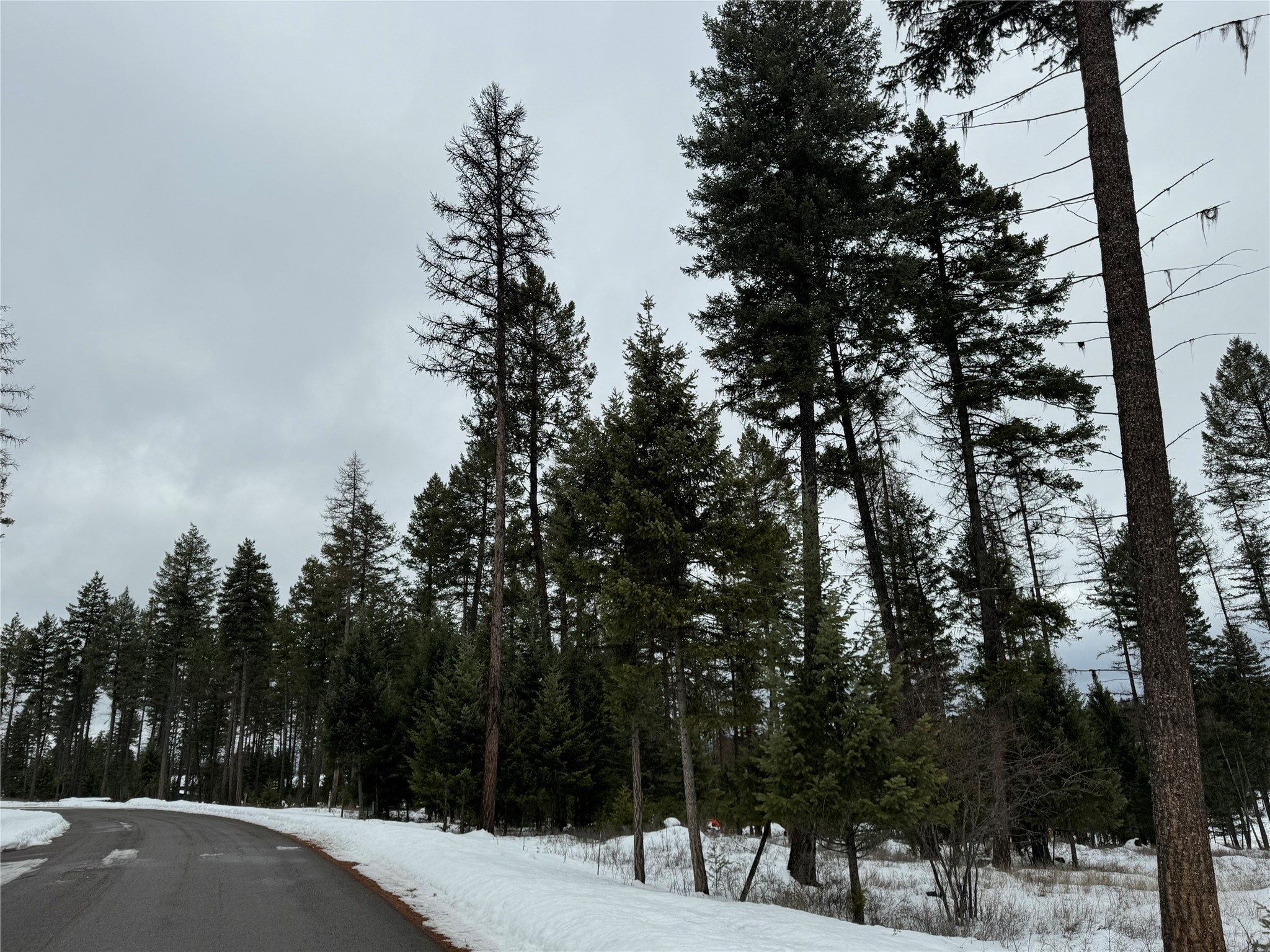 45 Meadow View Court