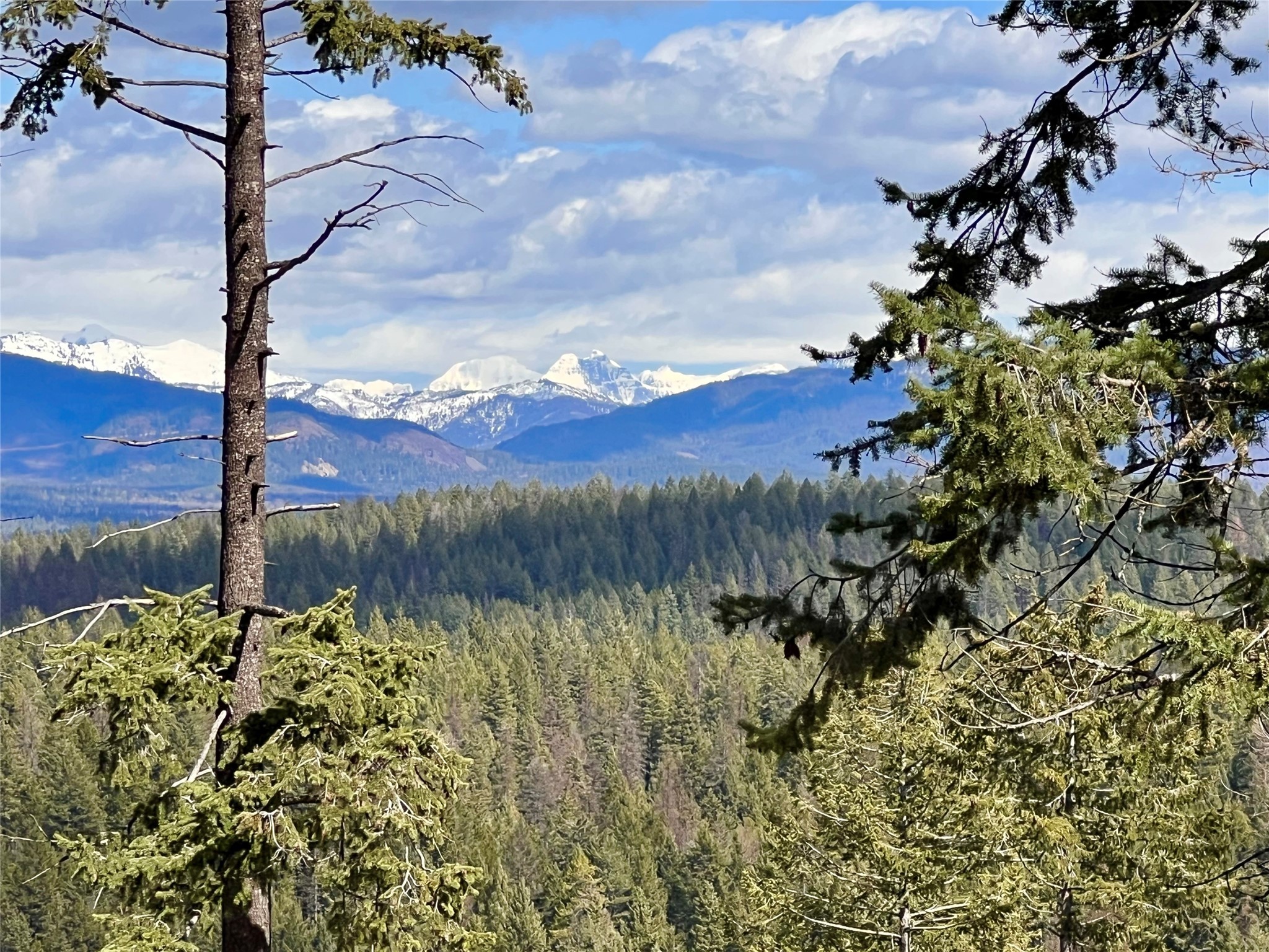 230 Goat Trail