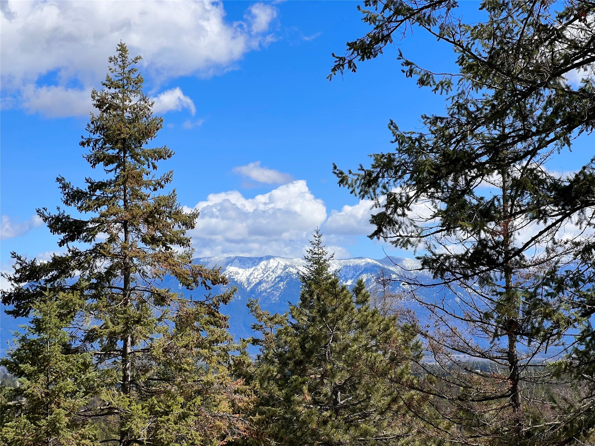 230 Goat Trail