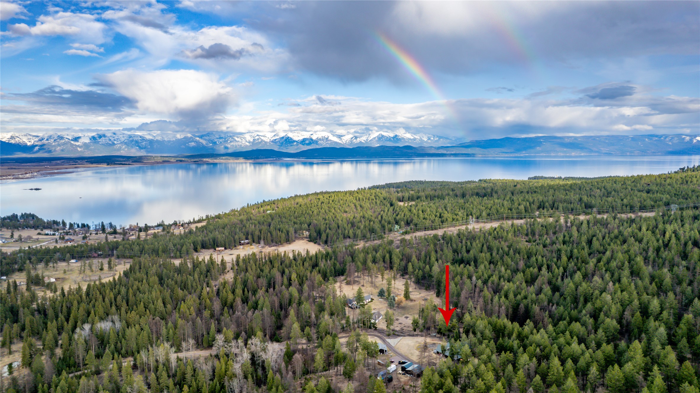 1274 Clear Springs Trail