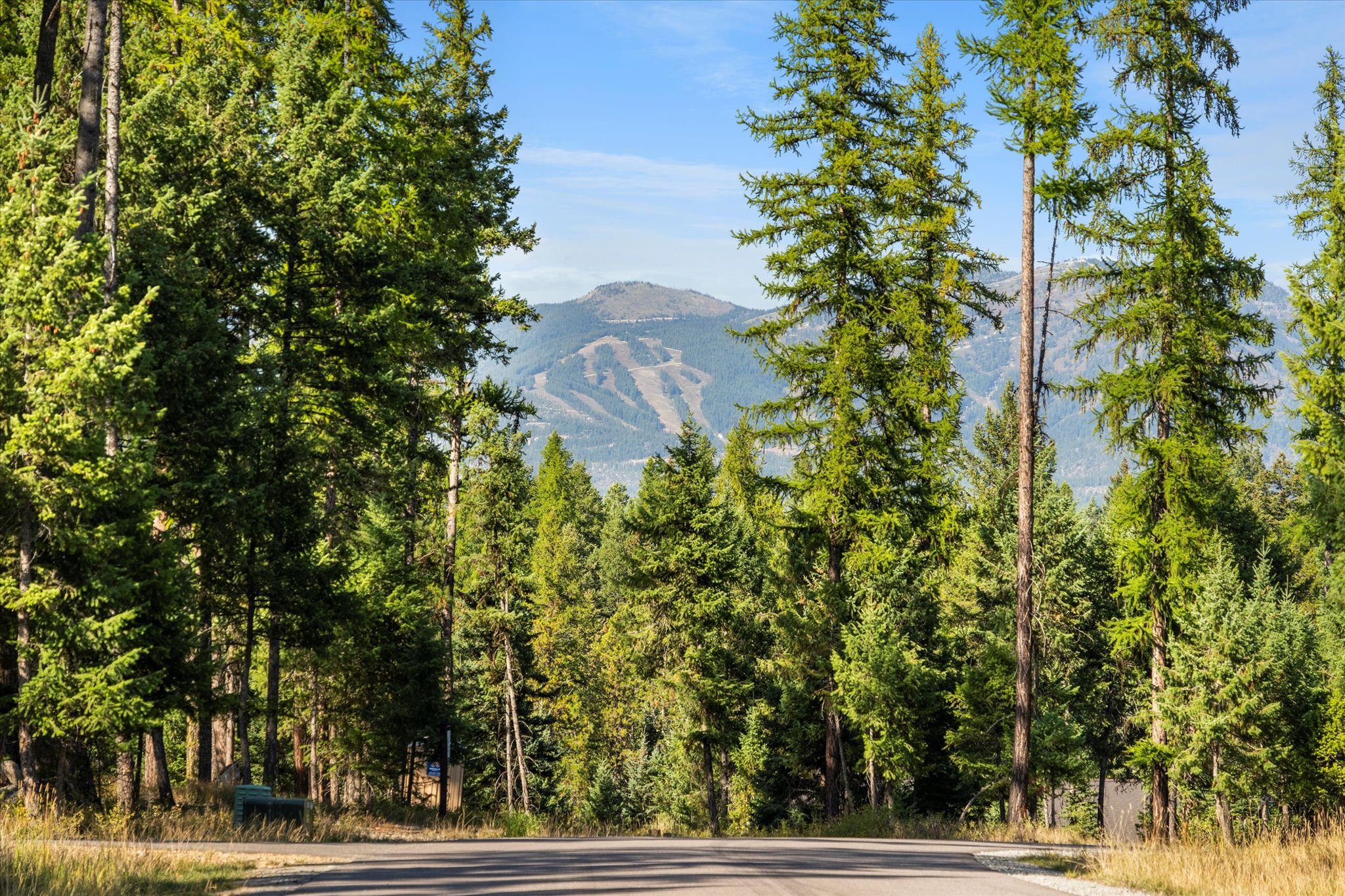 45 Meadow View Court