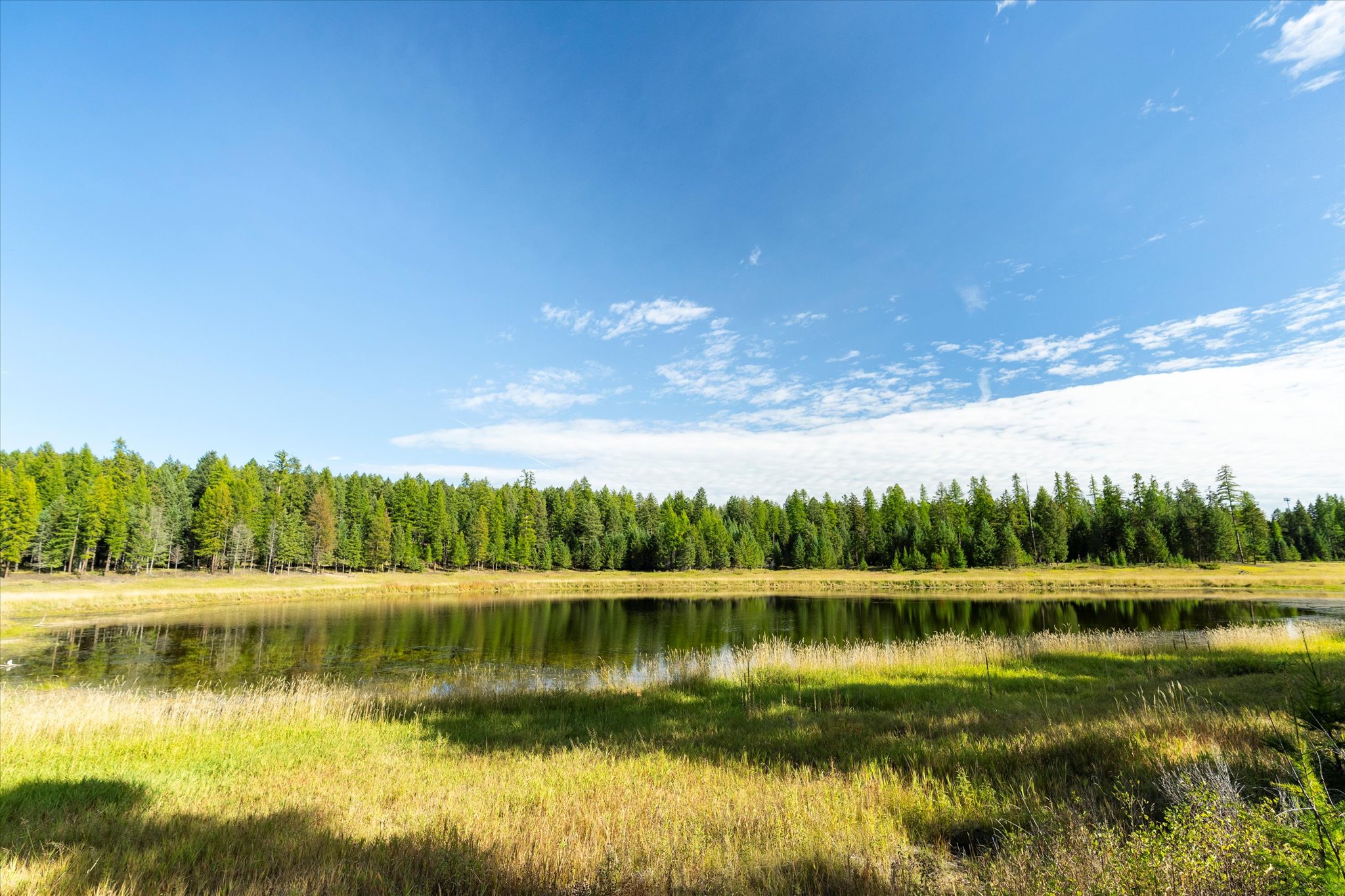 45 Meadow View Court