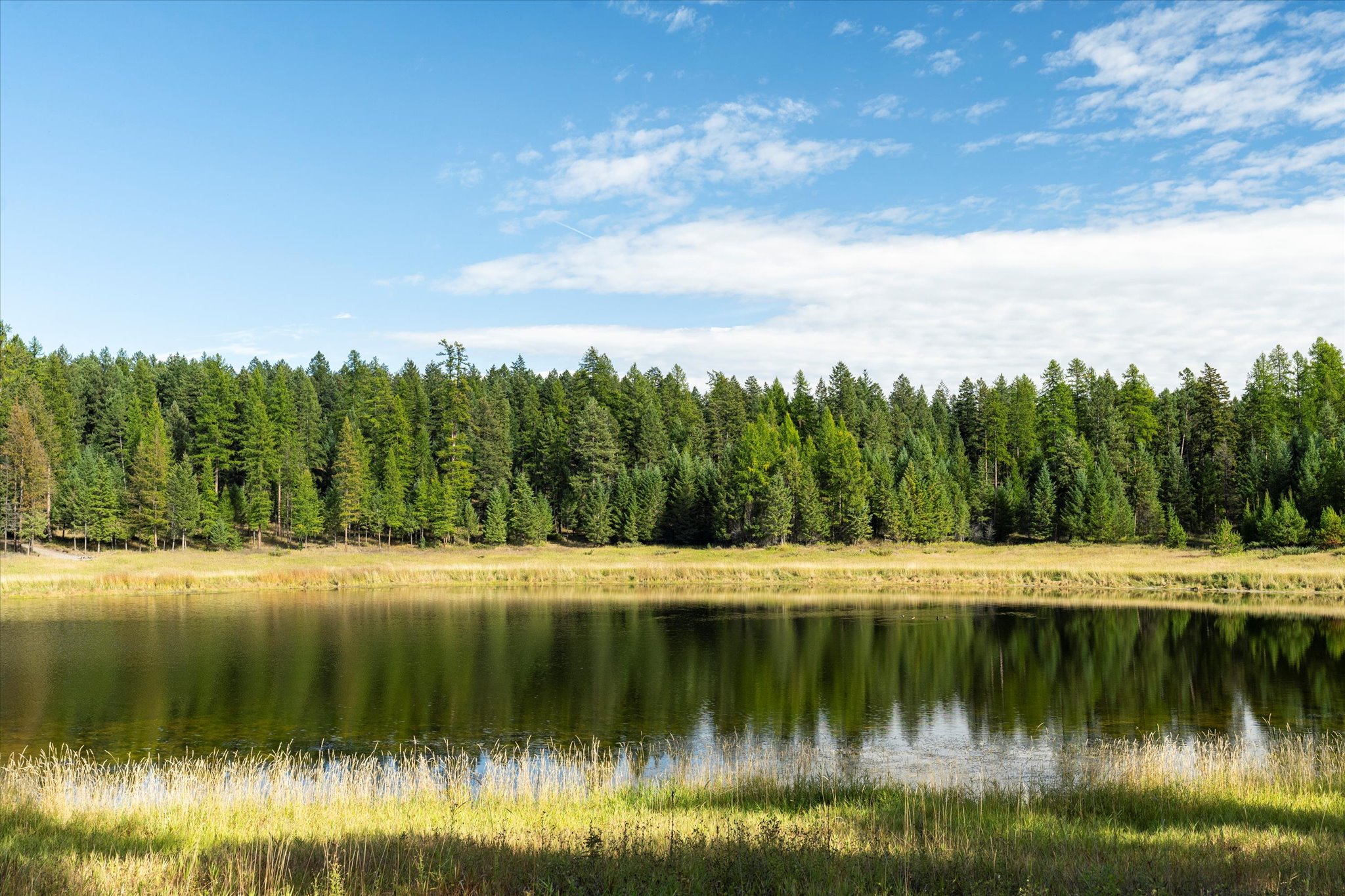 45 Meadow View Court