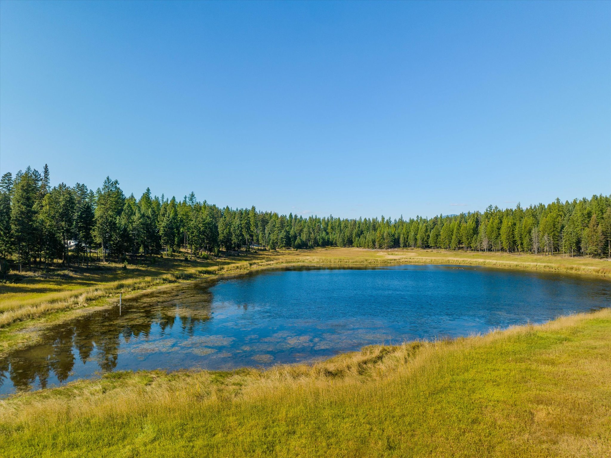 45 Meadow View Court