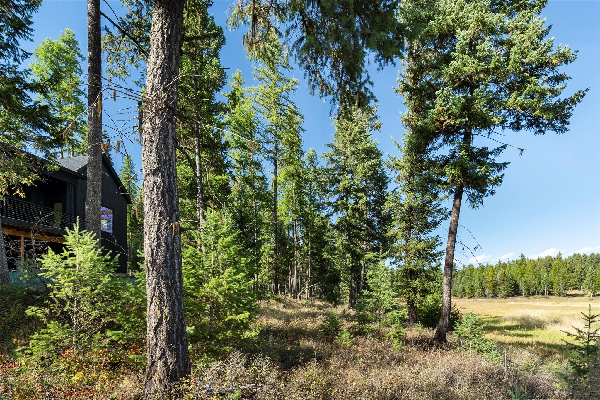 45 Meadow View Court