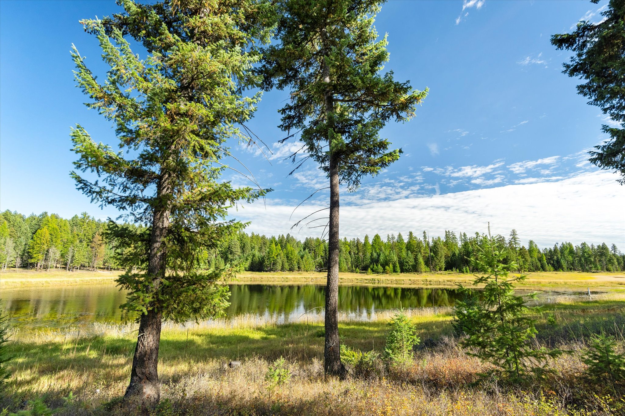 45 Meadow View Court