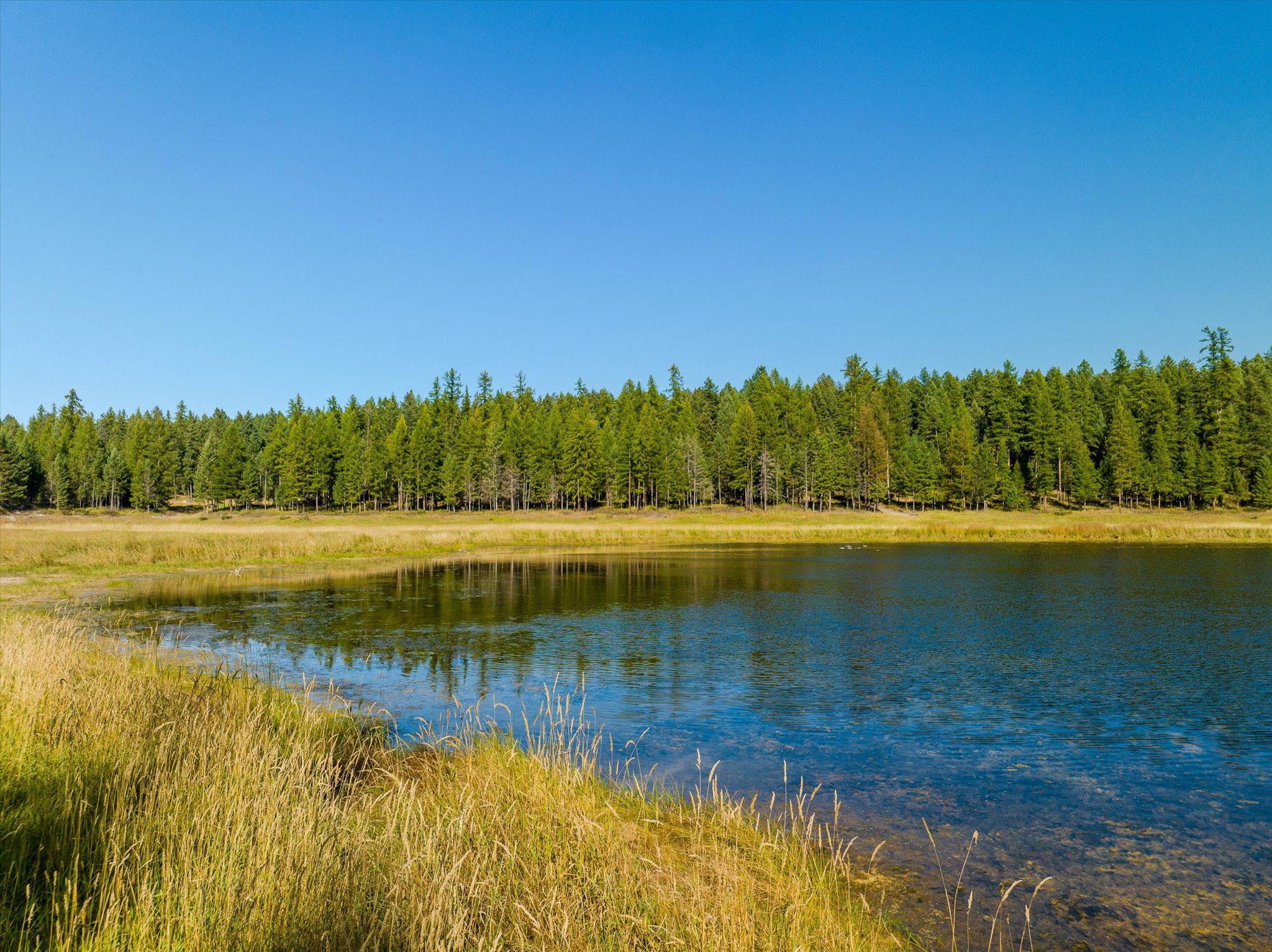 45 Meadow View Court