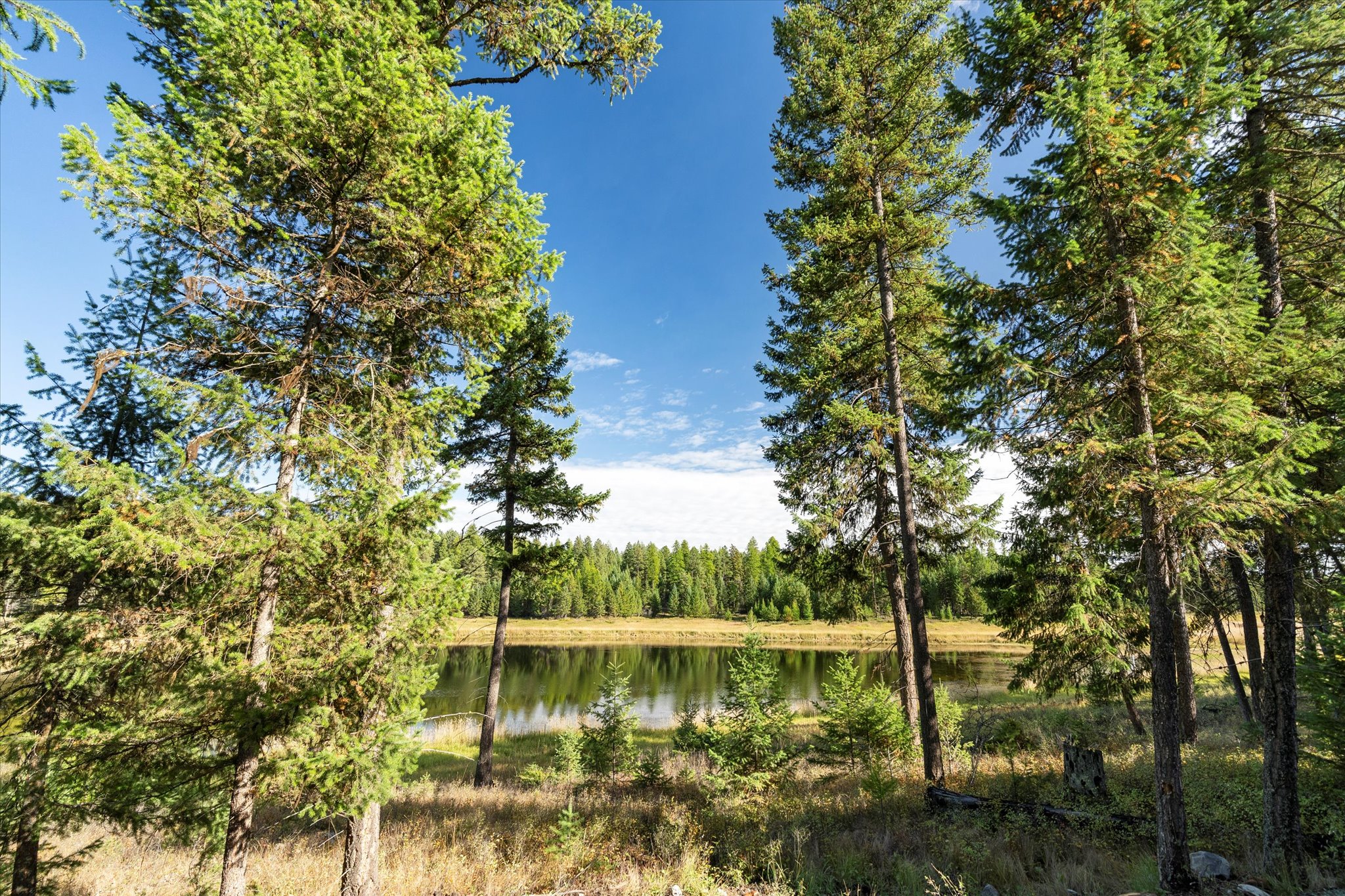 45 Meadow View Court