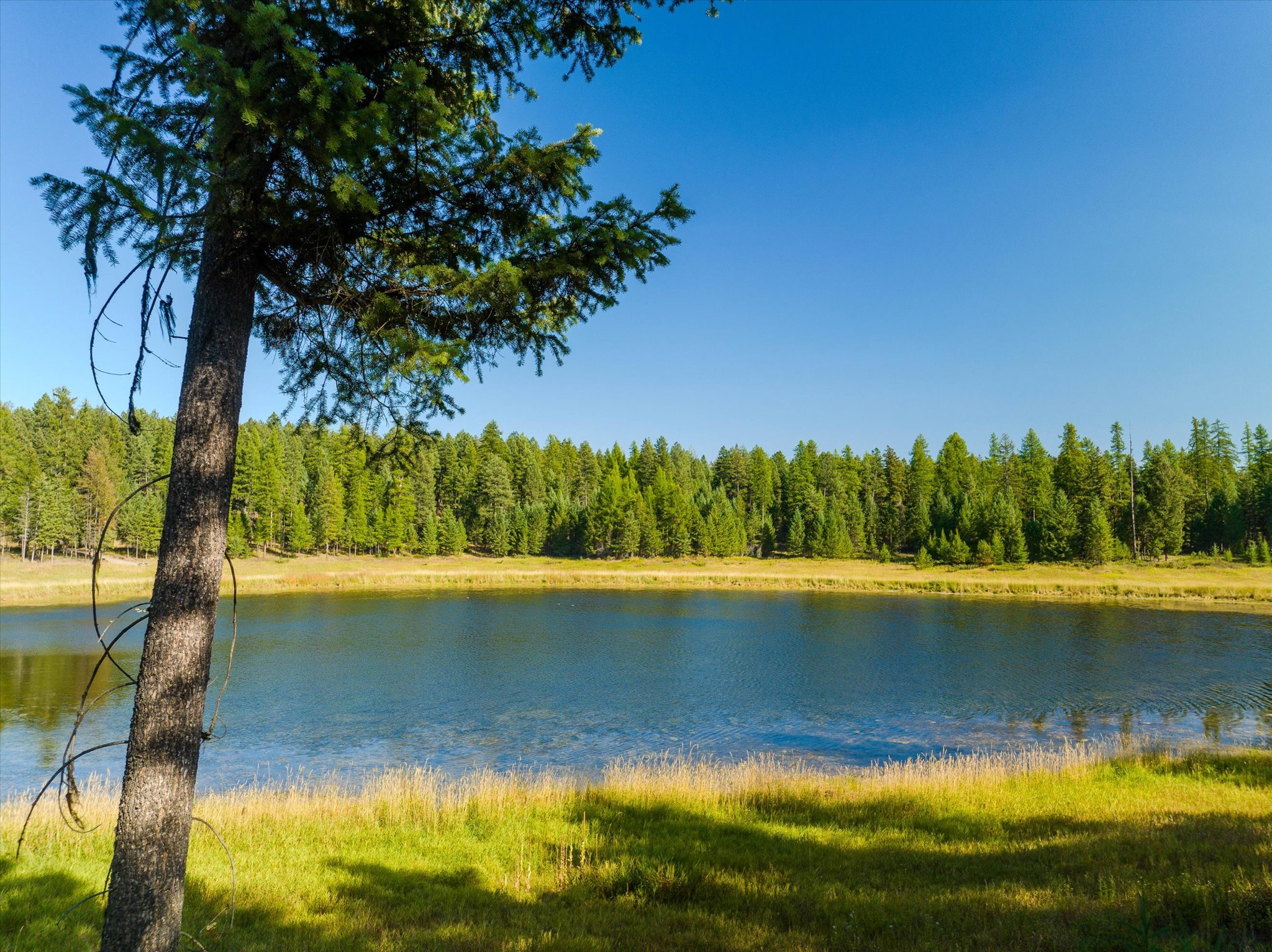 45 Meadow View Court