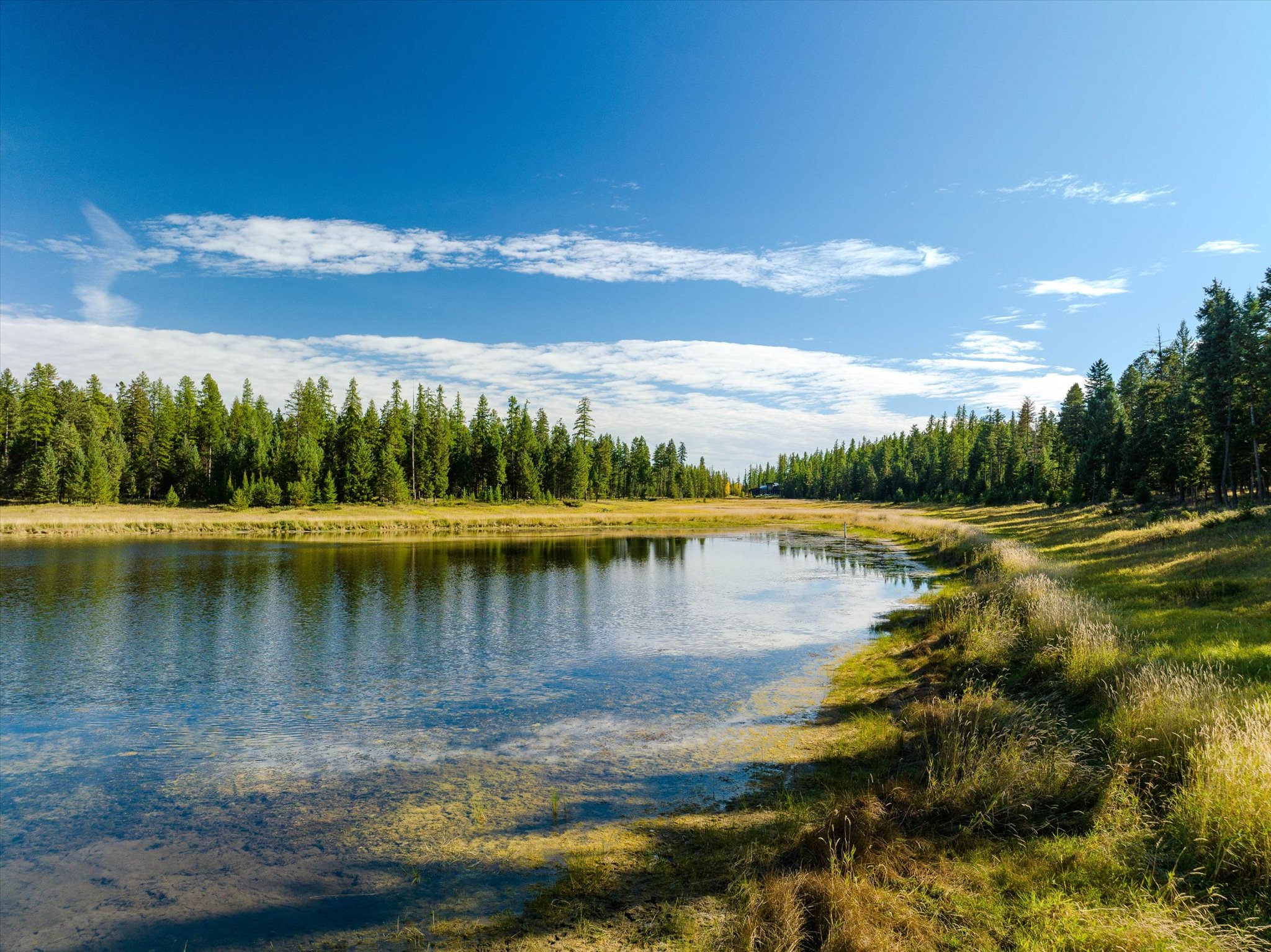 45 Meadow View Court