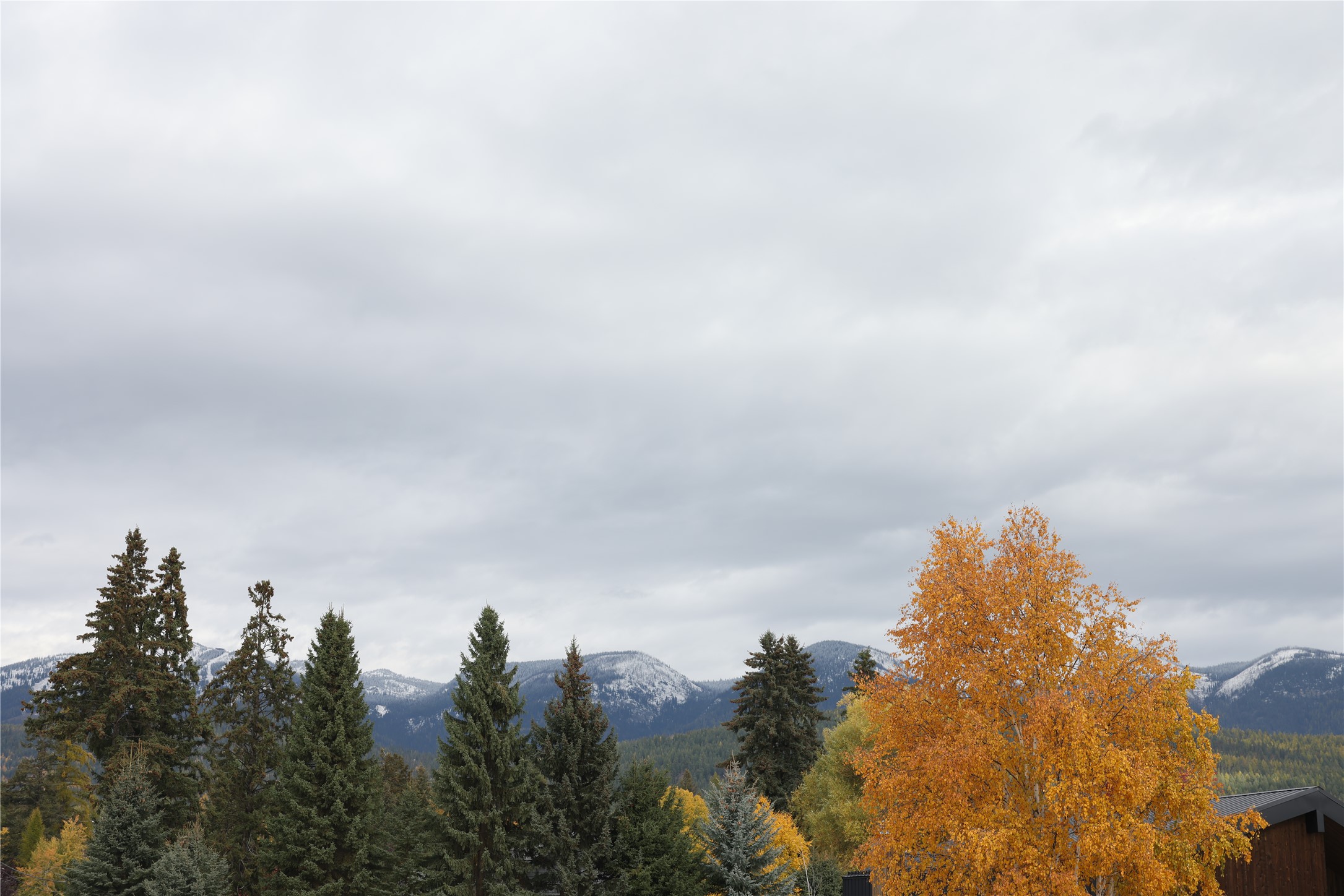 703 Cottonwood Court