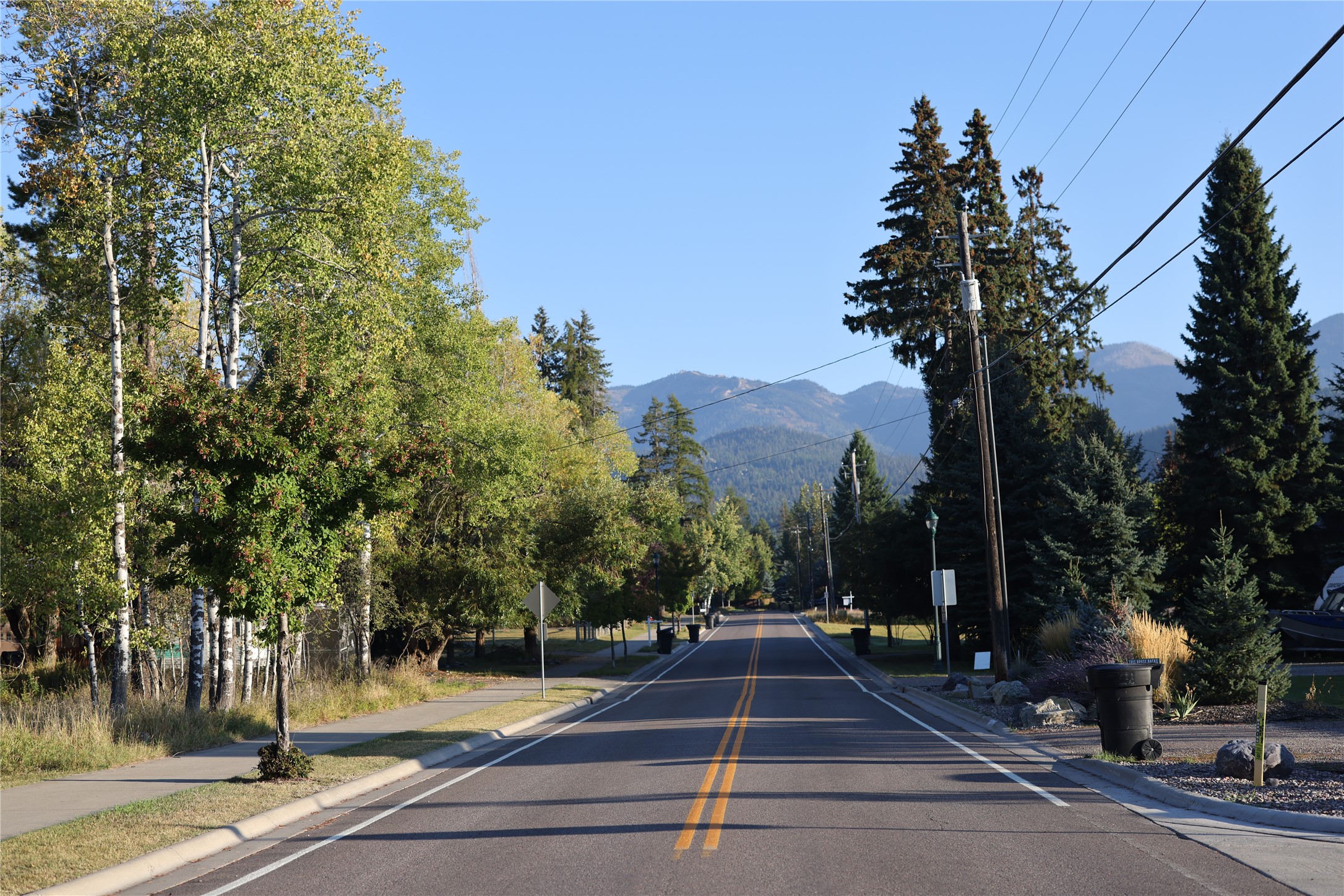 703 Cottonwood Court