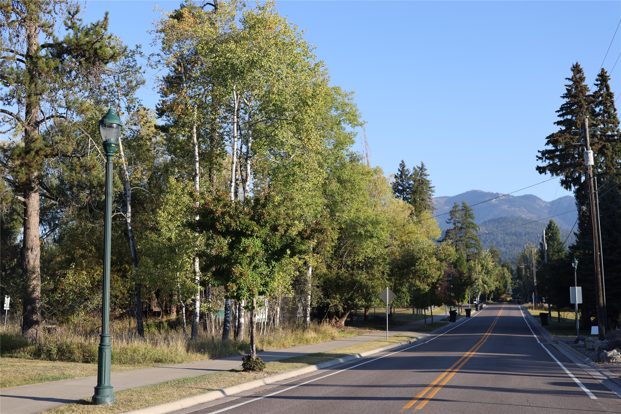 703 Cottonwood Court